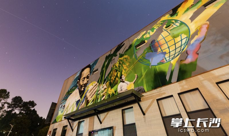 2021年11月27日5点55分，湖南省水稻研究所的袁隆平画像上空，中国空间站过境长沙。（图片为合成）长沙晚报全媒体记者 董阳 摄