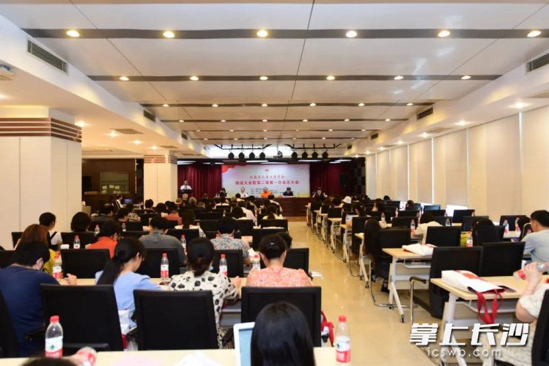 8月27日，湖南省儿童文学学会换届大会暨第二届第一次会员大会在长沙召开。均为主办方供图