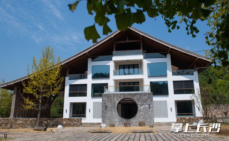清溪村的特色民宿受到游客们的青睐。
