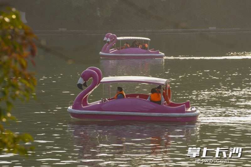 游客们正在乘坐火烈鸟形状的游船畅玩公园。长沙晚报全媒体记者 刘晓敏 摄