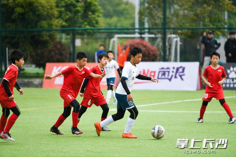 第八届“玛丽莱杯”青少年（U12）足球精英赛湖南预选赛决赛双方为长沙德馨园小学队（白）和湘乡湘铝队（红）。
