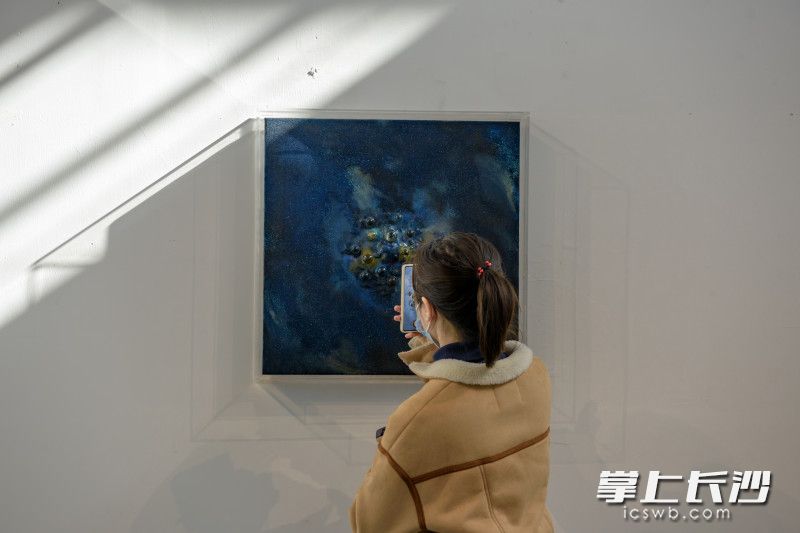 后湖艺术周，一位市民用手机拍下喜爱的展览艺术品。除署名外均为长沙晚报全媒体记者 陈飞 摄