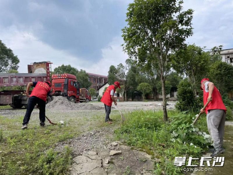 永鑫社区党员正在修整矿部的花草
